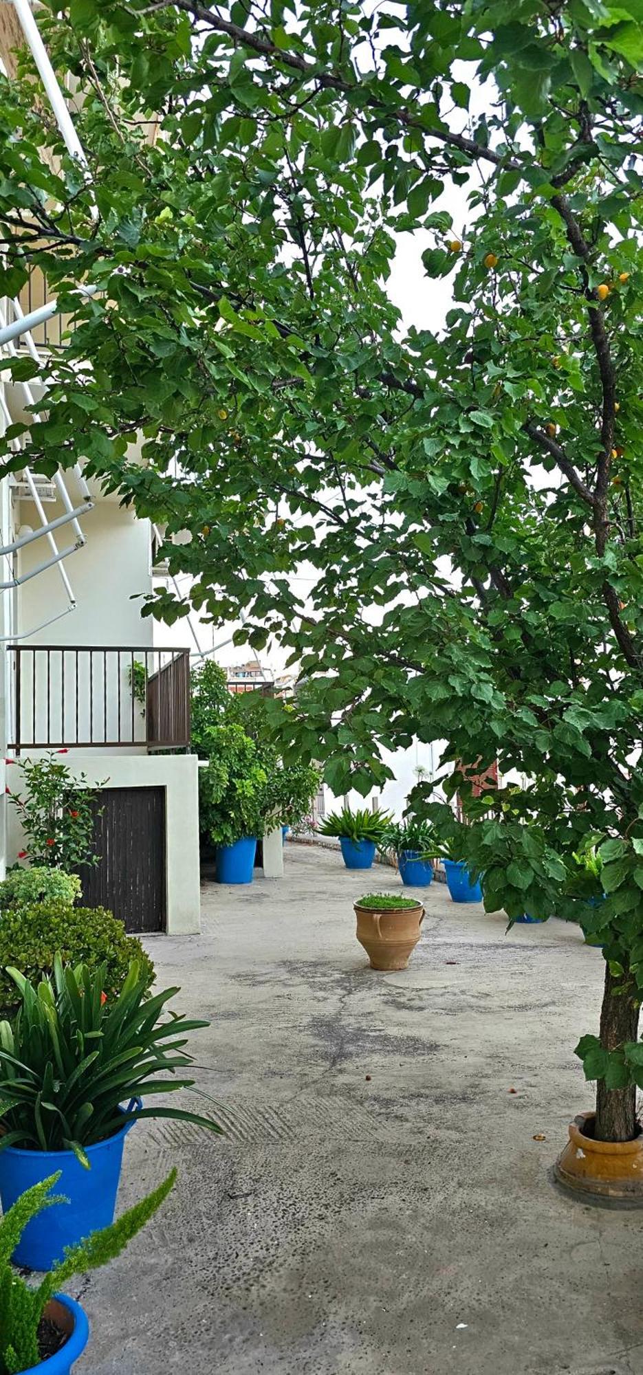 Pension Dimitra Votsi  Exterior photo